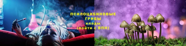 прущие крисы Балахна