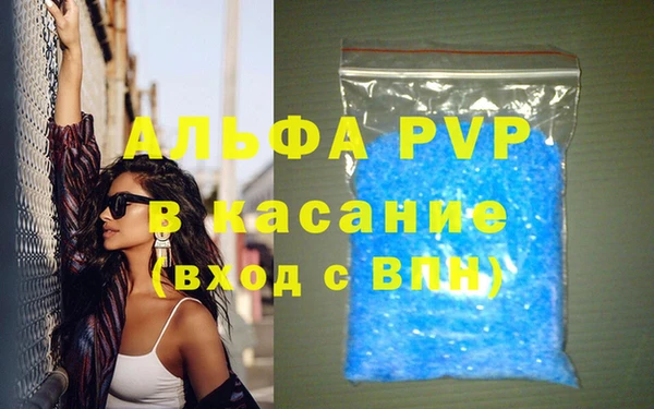 прущие грибы Баксан