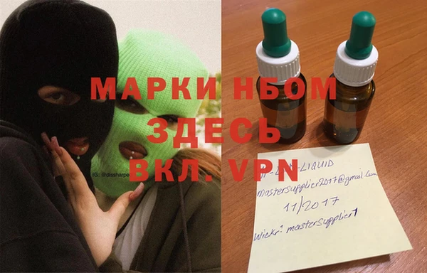 прущие грибы Баксан