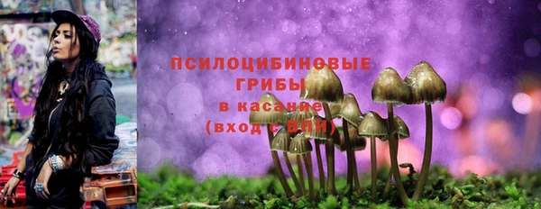 соль ск Балабаново