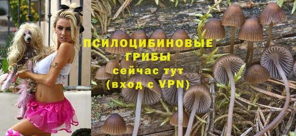 соль ск Балабаново
