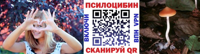 omg онион  дарнет шоп  Лермонтов  Галлюциногенные грибы Psilocybe 